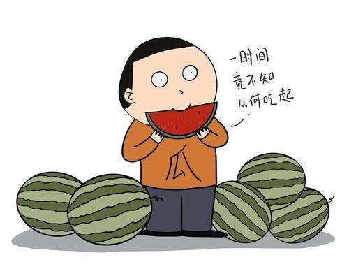 最近说的吃瓜是什么意思网络用语,揭秘“吃瓜”一词的流行与内涵